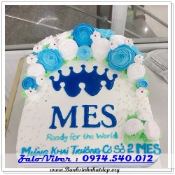 Mẫu Bánh Sinh Nhật Đẹp - A1125